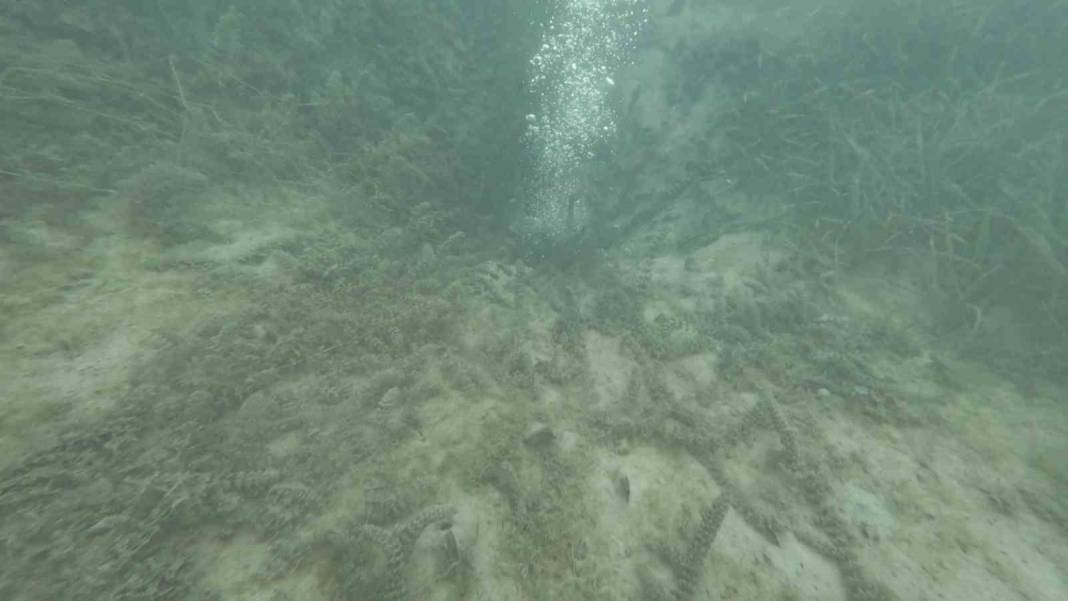 Sapanca Gölü’ndeki kabarcıklar panik yarattı: Depremin işareti mi? Uzmandan net açıklama 5